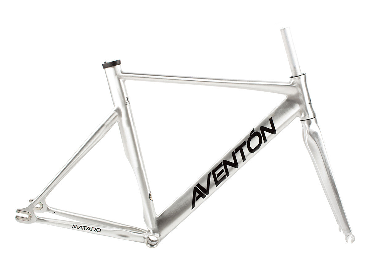 Aventon Mataro Frameset-Polished