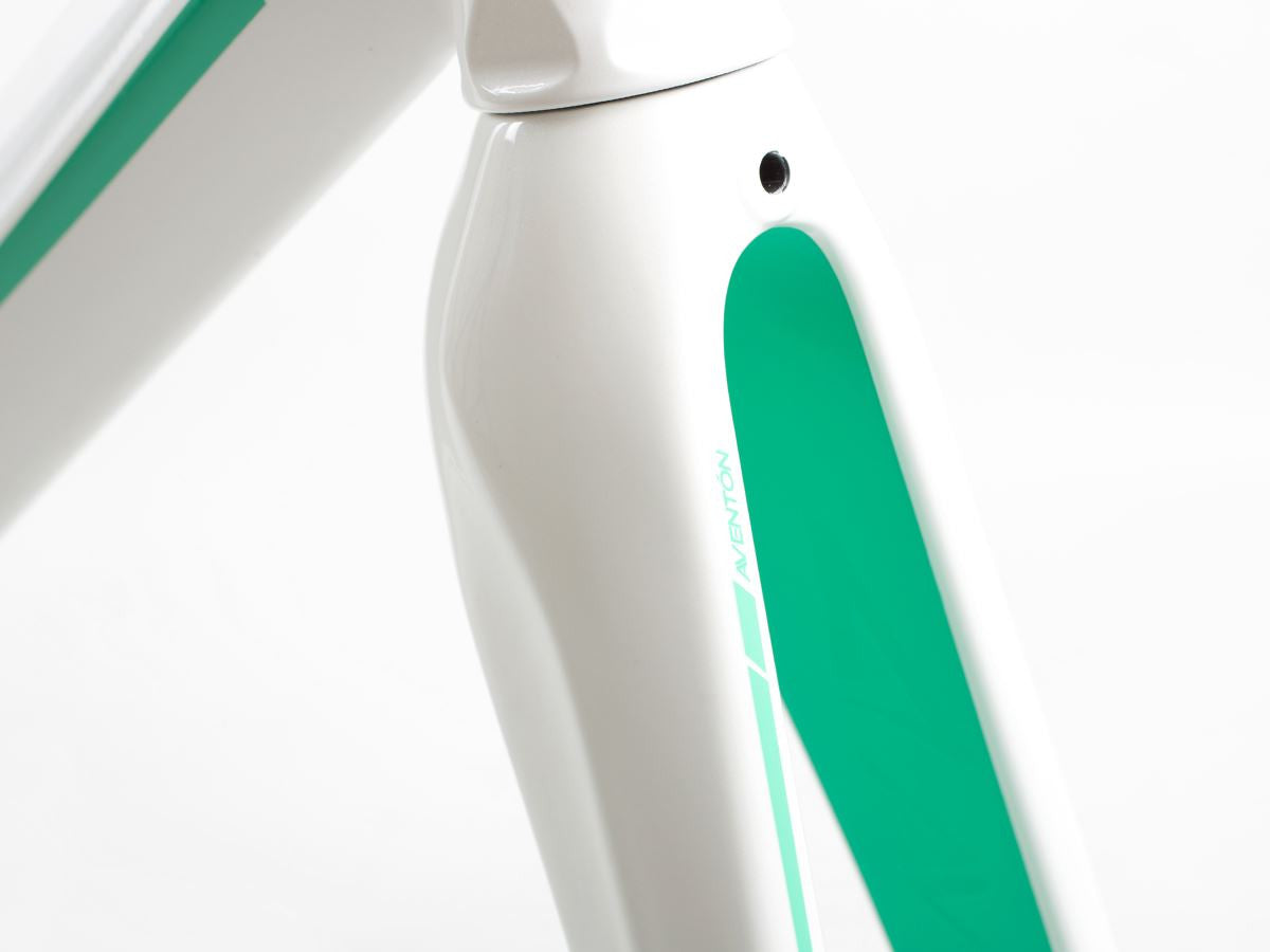 Aventon Diamond Frameset-White