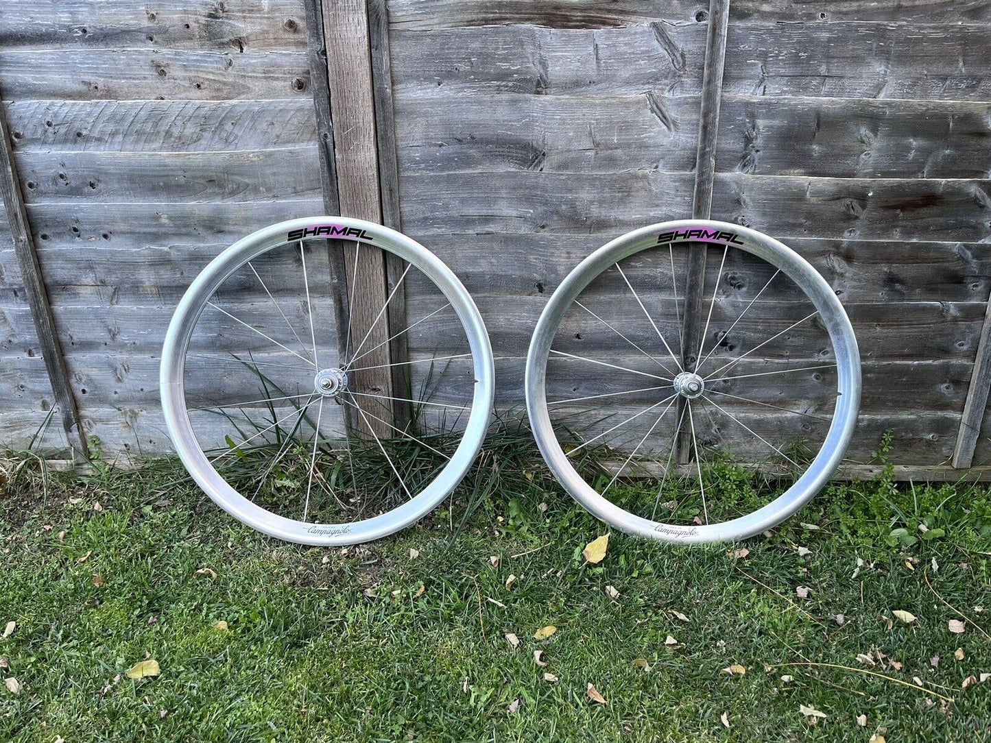 Campagnolo Shamal Pista Track Tubular Wheelset - NEW