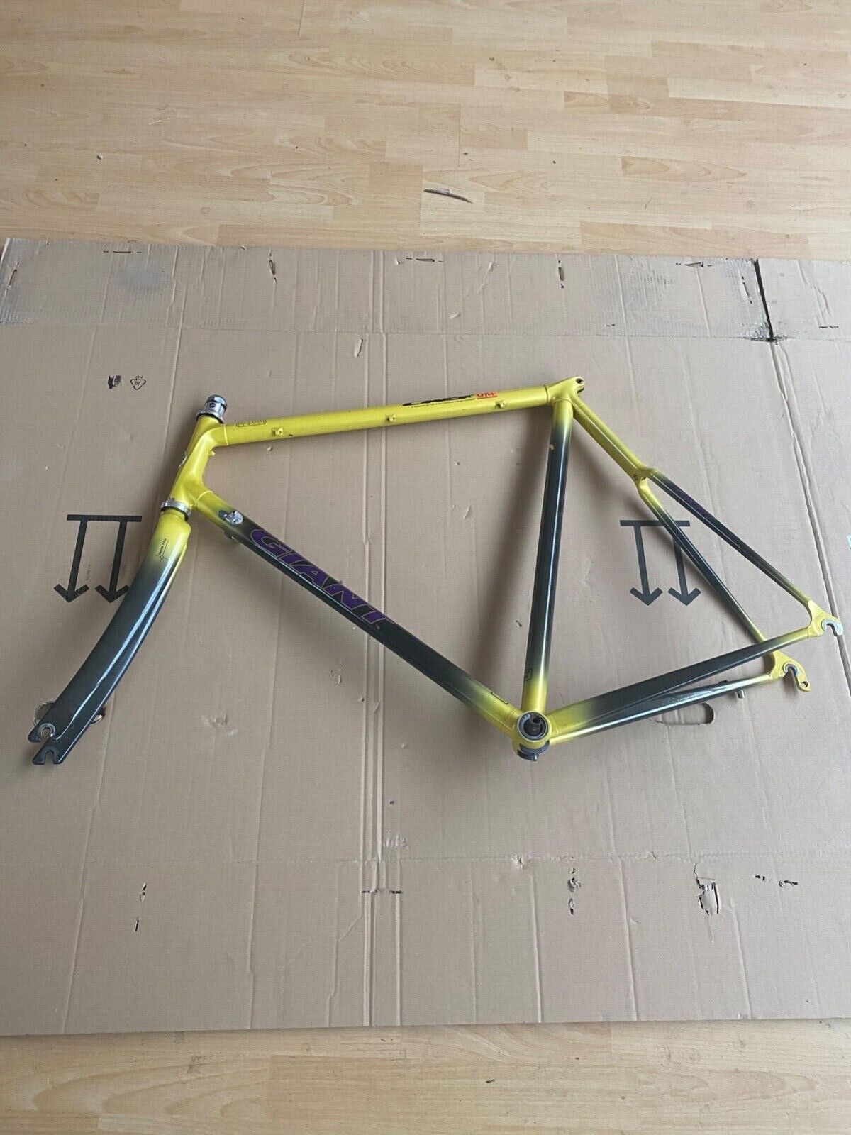 Giant cadex CFR1, collectible, one of the first carbon, road bikes, frame, road bike