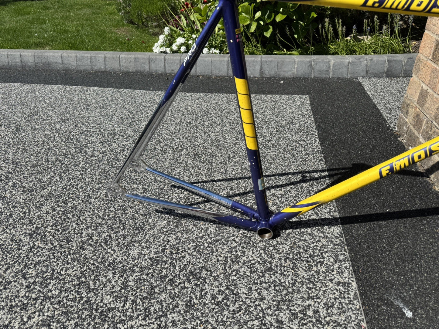 Francesco Moser Evolution Pro Track frame single speed fixed gear fixie