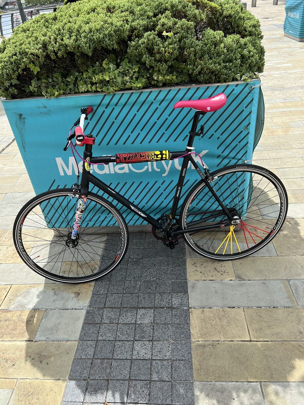 Cinelli Bootleg Mystic Rats 56cm Large L Single Speed Bike Fixie