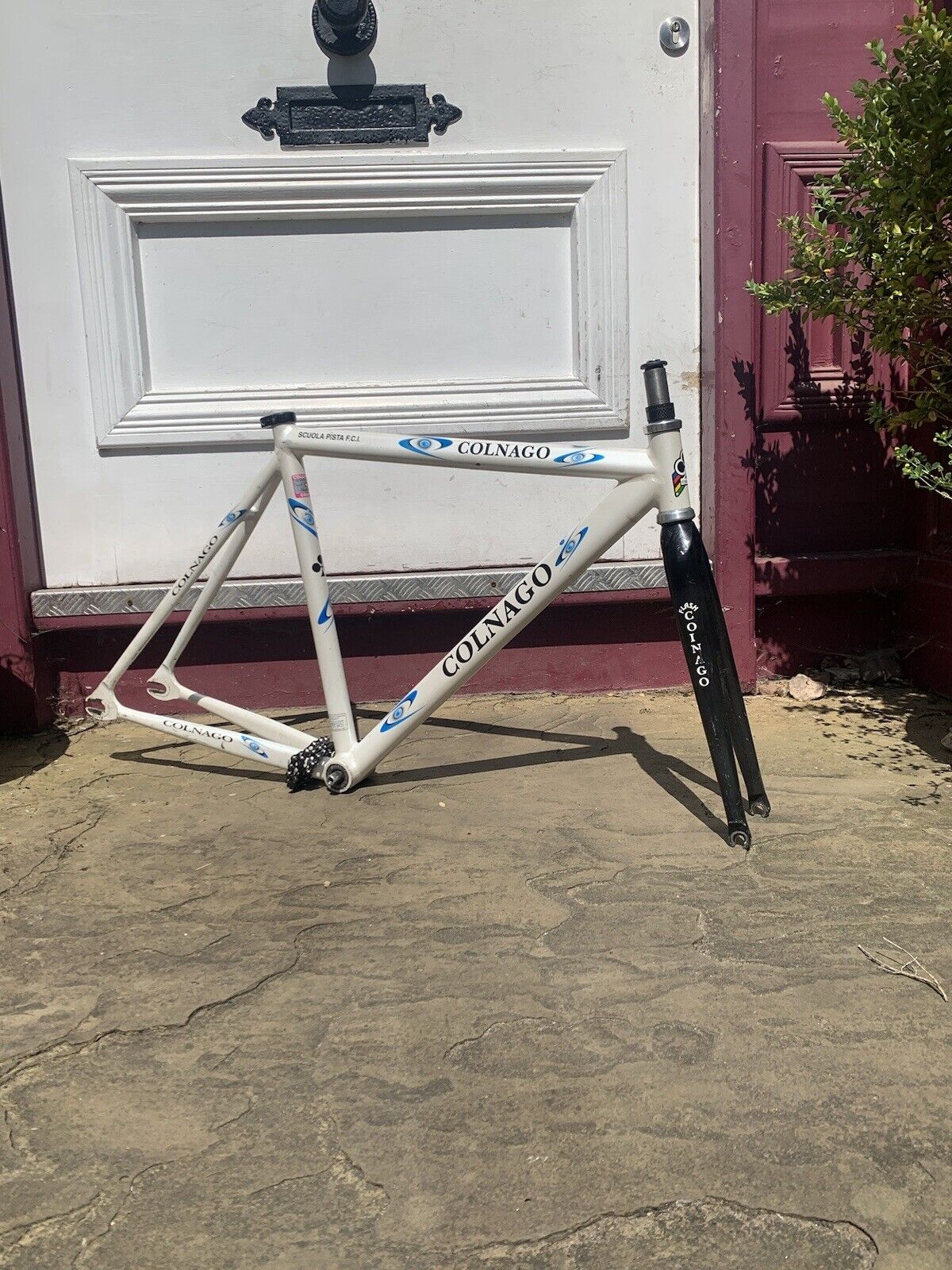 Colnago Dream Pista Track Frameset Uci 50cm Rare Fixed Gear Columbus Bike