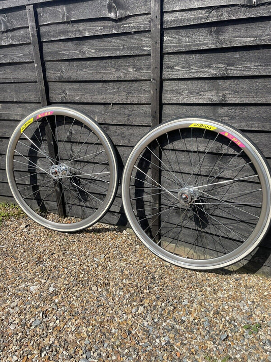 RIGIDA DP18 BRONZE 32H RIMS ON BLB TRACK HUBS,  FIXED & FREEWHEEL.