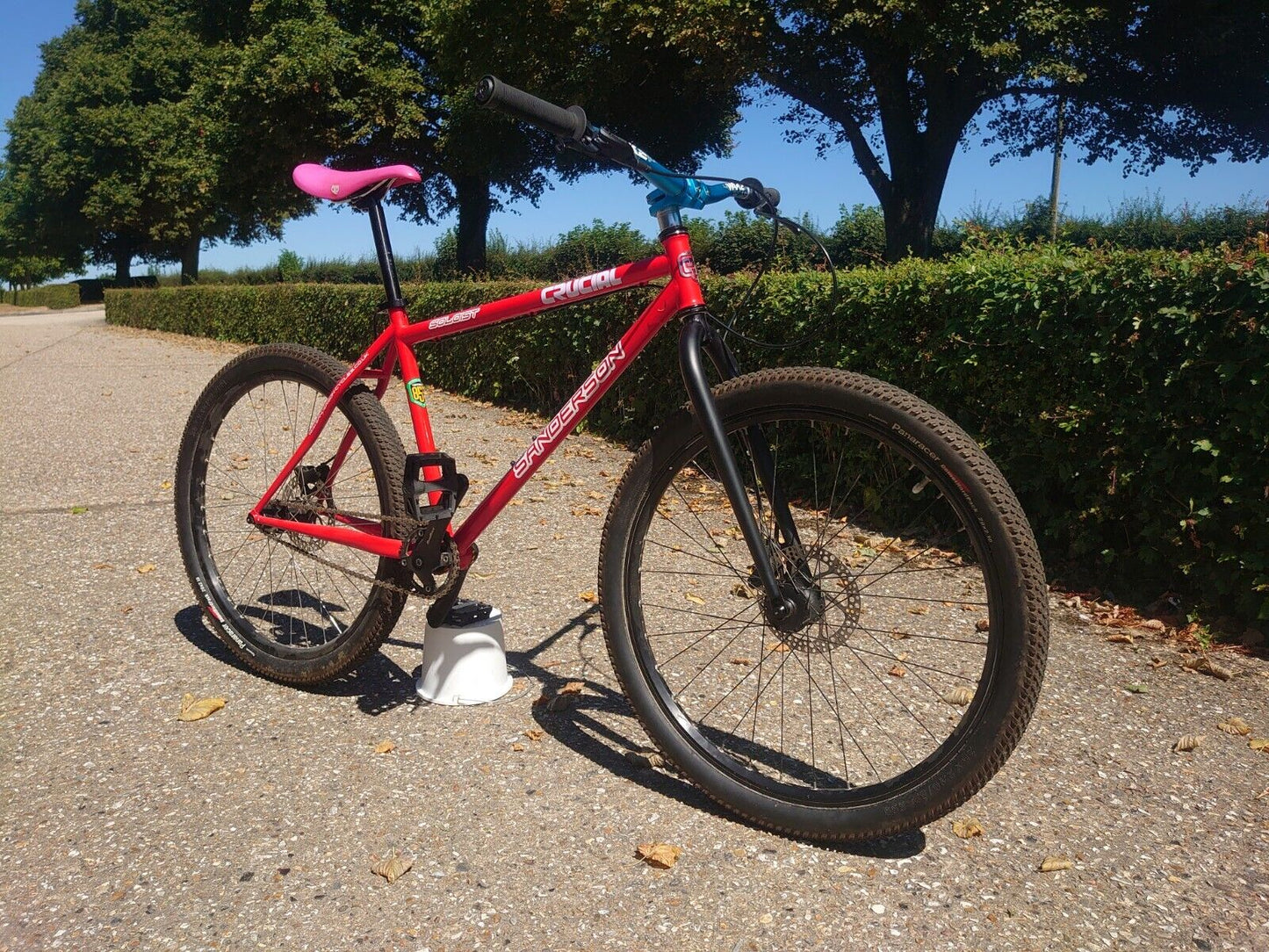 SANDERSON SINGLE SPEED MOUNTAIN BIKE/REYNOLDS 853