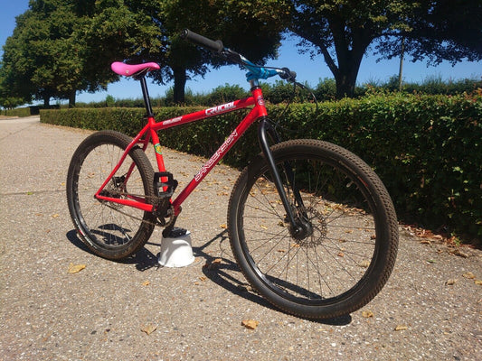 SANDERSON SINGLE SPEED MOUNTAIN BIKE/REYNOLDS 853