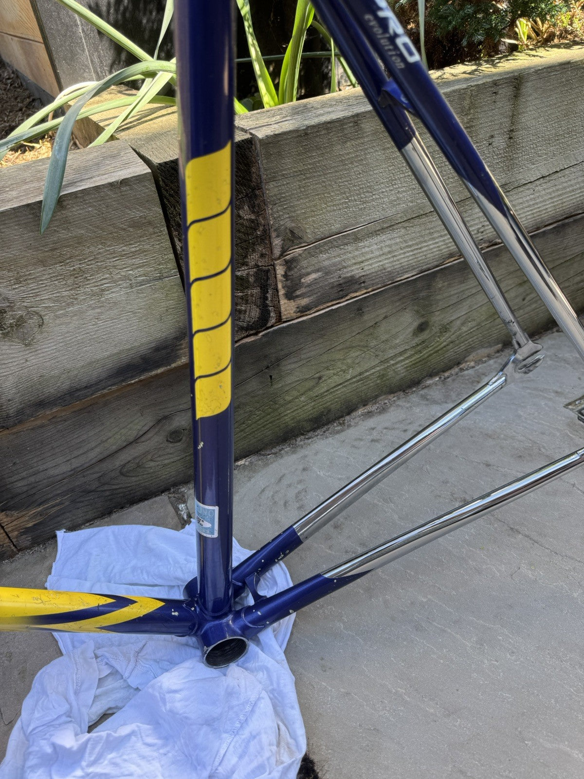Francesco Moser Evolution Pro Track frame single speed fixed gear fixie