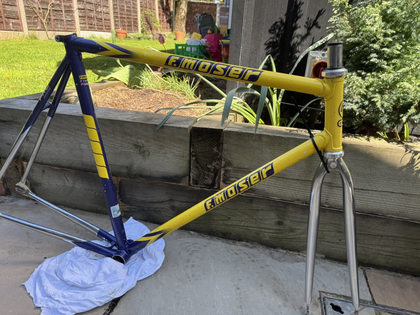 Francesco Moser Evolution Pro Track frame single speed fixed gear fixie