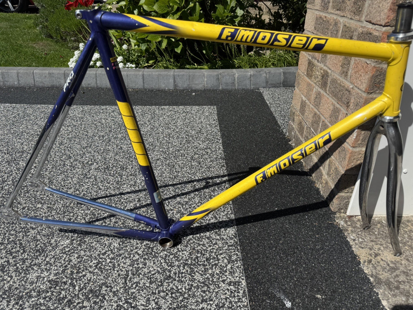 Francesco Moser Evolution Pro Track frame single speed fixed gear fixie