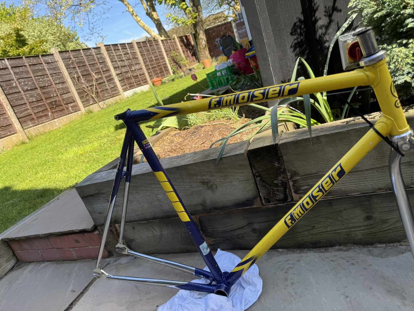 Francesco Moser Evolution Pro Track frame single speed fixed gear fixie