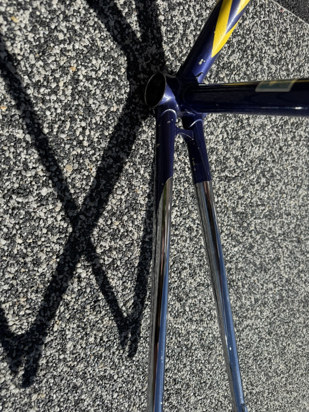 Francesco Moser Evolution Pro Track frame single speed fixed gear fixie